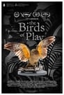 The Birds of Play