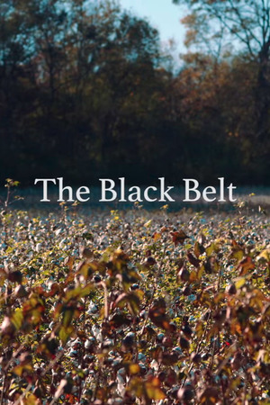 En dvd sur amazon The Black Belt