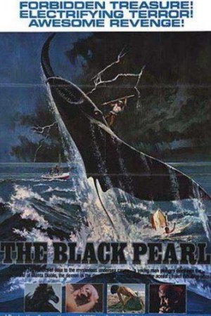 En dvd sur amazon The Black Pearl