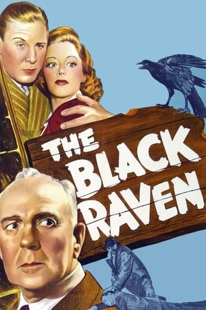 En dvd sur amazon The Black Raven