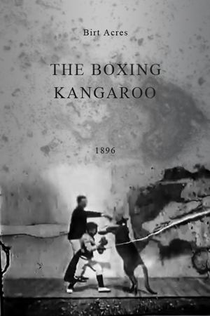 En dvd sur amazon The Boxing Kangaroo