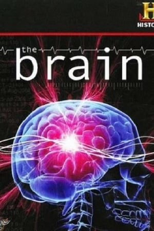 En dvd sur amazon The Brain