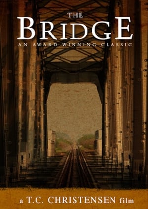 En dvd sur amazon The Bridge