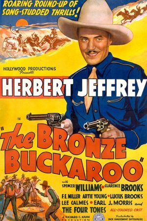 En dvd sur amazon The Bronze Buckaroo