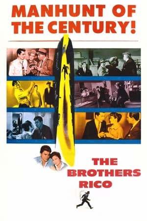 En dvd sur amazon The Brothers Rico