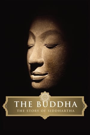 En dvd sur amazon The Buddha