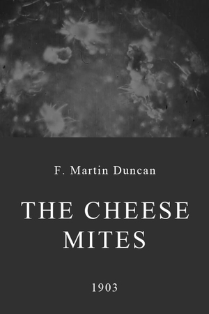 En dvd sur amazon The Cheese Mites