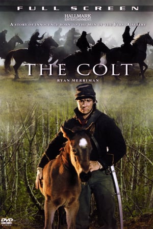 En dvd sur amazon The Colt