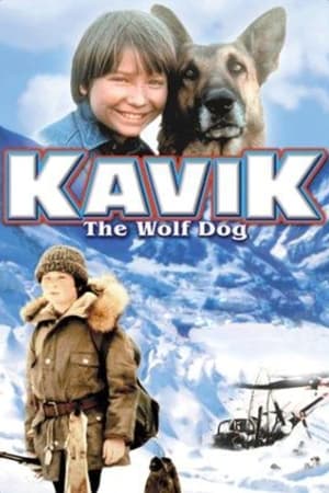 En dvd sur amazon The Courage of Kavik, the Wolf Dog