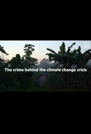 En dvd sur amazon The crime behind the Amazon climate change crisis