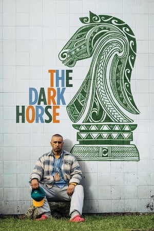 En dvd sur amazon The Dark Horse