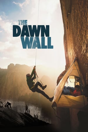 En dvd sur amazon The Dawn Wall
