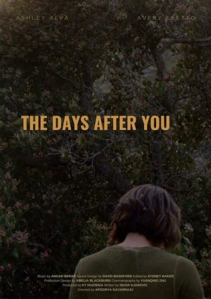 En dvd sur amazon The Days After You