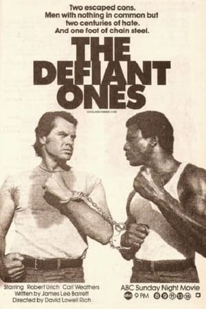 En dvd sur amazon The Defiant Ones
