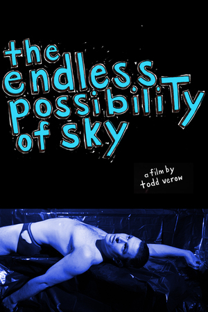 En dvd sur amazon The Endless Possibility of Sky