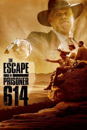 En dvd sur amazon The Escape of Prisoner 614