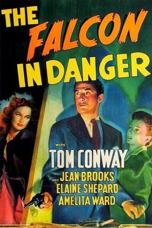 En dvd sur amazon The Falcon in Danger