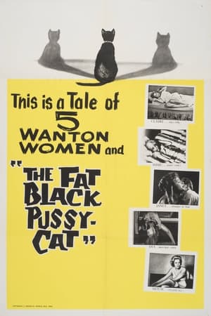 En dvd sur amazon The Fat Black Pussycat