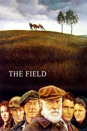En dvd sur amazon The Field