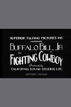 En dvd sur amazon The Fighting Cowboy