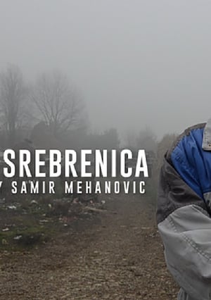 En dvd sur amazon The Fog of Srebrenica