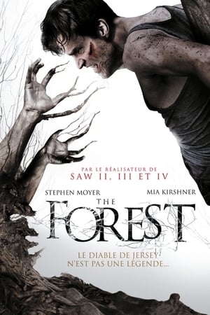 En dvd sur amazon The Forest