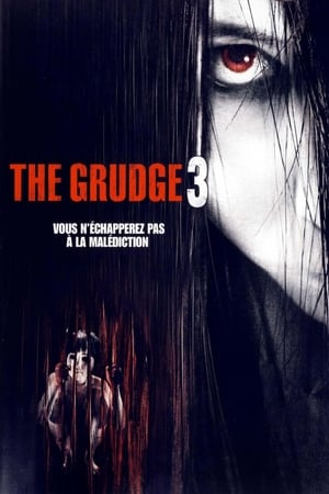 En dvd sur amazon The Grudge 3