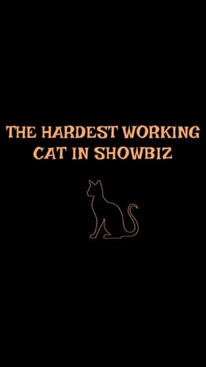 En dvd sur amazon The Hardest Working Cat in Showbiz