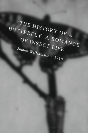 En dvd sur amazon The History of a Butterfly: A Romance of Insect Life