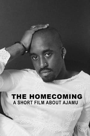 En dvd sur amazon The Homecoming: A Short Film About Ajamu