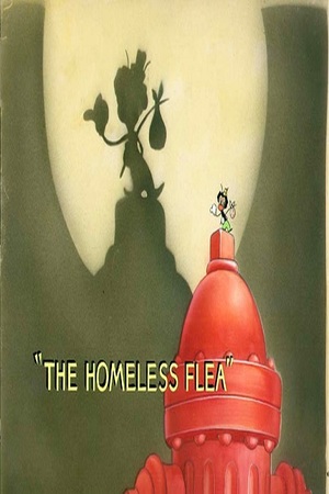 En dvd sur amazon The Homeless Flea