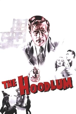 En dvd sur amazon The Hoodlum