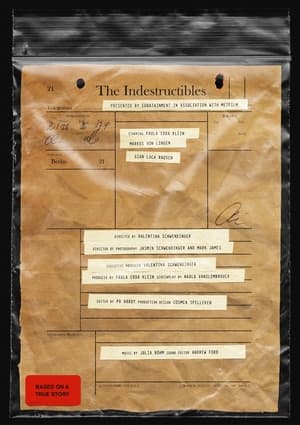 En dvd sur amazon The Indestructibles