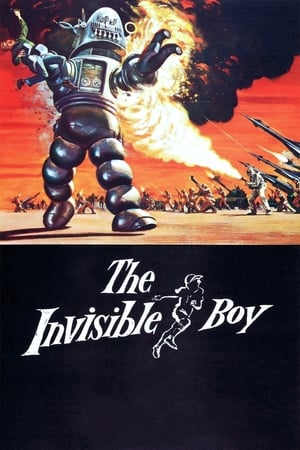 En dvd sur amazon The Invisible Boy