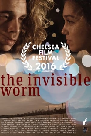 En dvd sur amazon The Invisible Worm