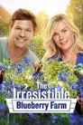 The Irrestibile Blueberry Farm