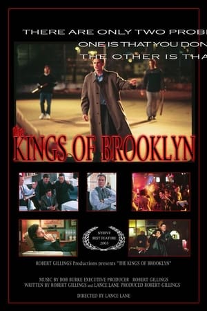 En dvd sur amazon The Kings of Brooklyn