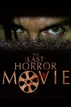 En dvd sur amazon The Last Horror Movie