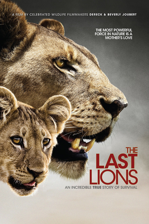 En dvd sur amazon The Last Lions