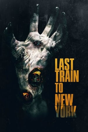 En dvd sur amazon The Last Train to New York