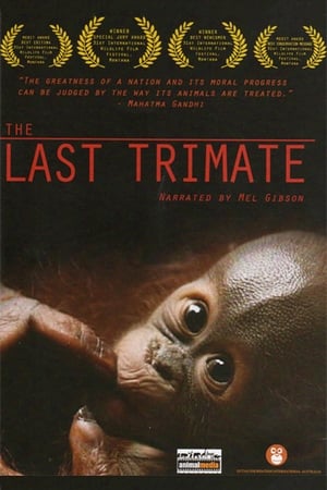 En dvd sur amazon The Last Trimate