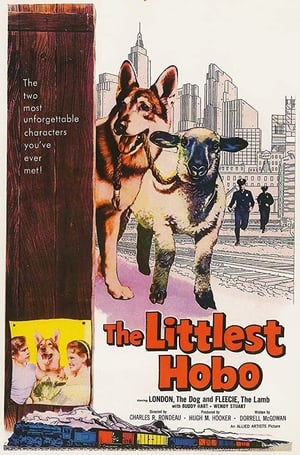 En dvd sur amazon The Littlest Hobo