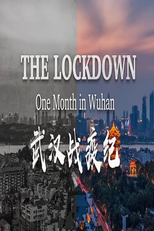 En dvd sur amazon The Lockdown: One Month in Wuhan