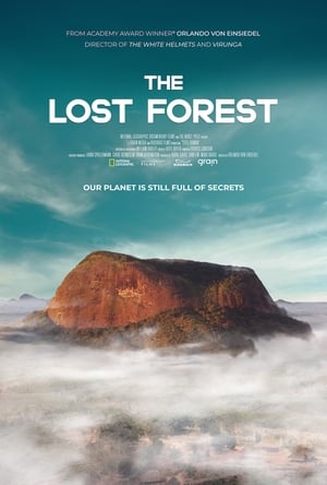 En dvd sur amazon The Lost Forest