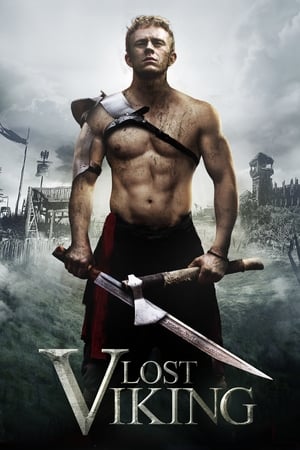 En dvd sur amazon The Lost Viking