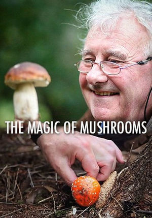 En dvd sur amazon The Magic of Mushrooms