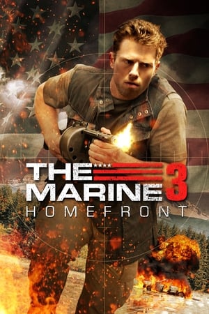 En dvd sur amazon The Marine 3: Homefront