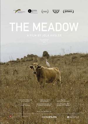 En dvd sur amazon The Meadow