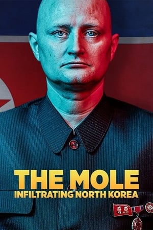 En dvd sur amazon The Mole: Undercover in North Korea