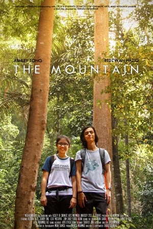 En dvd sur amazon The Mountain